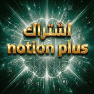 Notion Plus 1 Year Account