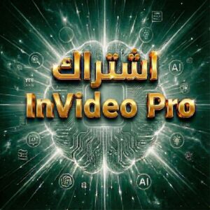 InVideo الدفوع باقل سعر