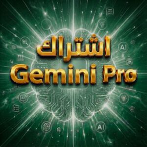 Gemini المدفوع باقل سعر